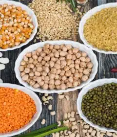 aliments riches en fer